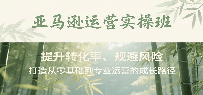 亚马逊运营实操班：从零基础到专业，提升转化率+规避风险，全流程成长路径指南