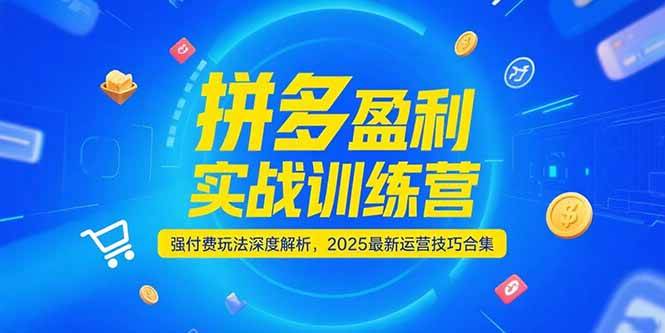 拼多多盈利实战训练营：2025强付费玩法深度解析，最新运营技巧合集