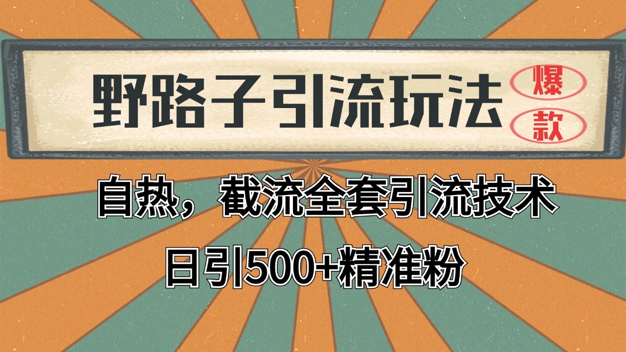 2024首发野路子引流截流玩法：全平台全自动引流，日引2000+精准客户