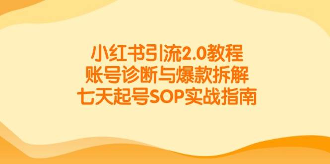 小红书引流2.0实战教程：账号诊断+爆款拆解，7天快速起号SOP指南