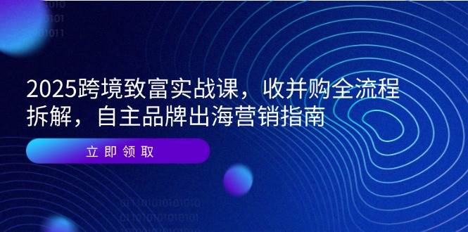 2025跨境致富实战指南：收并购全流程拆解+自主品牌出海营销秘籍
