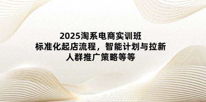 2025淘系电商实训班：标准化起店流程、智能计划、拉新、人群推广策略实战指南