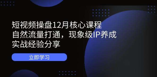 12月短视频操盘核心课程：自然流量打通方法+现象级IP养成实战，经验全分享