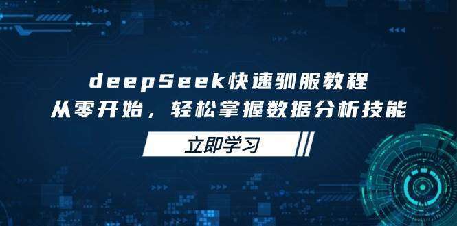 DeepSeek数据分析零基础教程：从零开始，快速上手轻松掌握核心技能