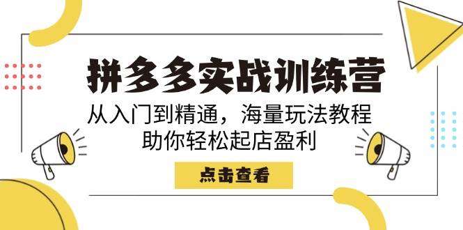 拼多多新手实战训练营：从0基础到精通全流程，海量开店玩法教程助你轻松起店盈利