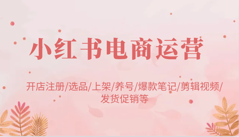 小红书电商运营全攻略：新手开店注册+选品上架+养号+爆款笔记+剪辑视频+发货促销指南