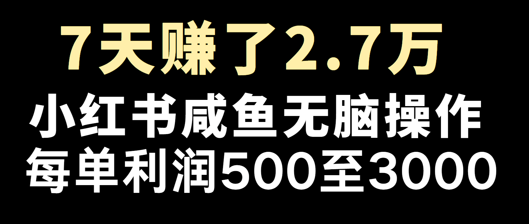 全网首发：7天赚2.6万副业方法，2025年利润预测超高！普通人也能做