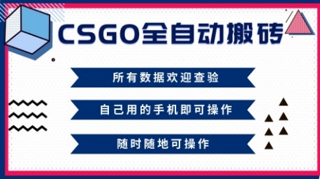 新手小白CSGO全自动搬砖：当天见效，轻松月入1W+，年底钱回家项目揭秘