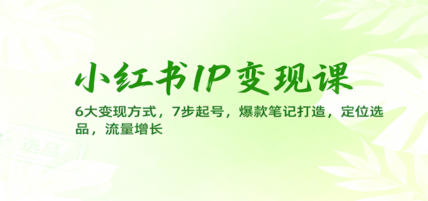 小红书IP变现课：6大变现方式+7步起号+爆款笔记打造+定位选品+流量增长，保姆级教程从0到1手把手教你
