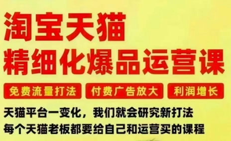 淘宝天猫精细化爆品运营课：免费流量打法+付费广告放大，解决3大痛点，利润增长一次搞定！