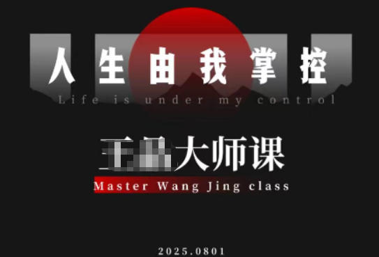 素人流量破局：快速进阶掌控人生，实现流量与商业价值双丰收