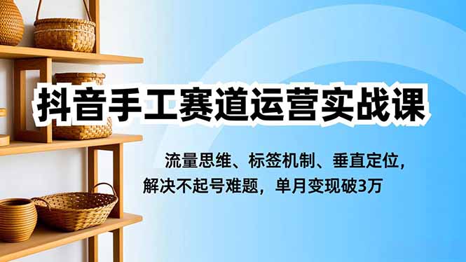 抖音手工赛道运营实战课：流量思维+标签机制+垂直定位，解决不起号难题，单月变现破3万