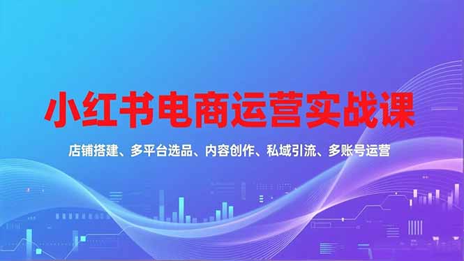 小红书电商运营实战课：店铺搭建、多平台选品、内容创作、私域引流、多账号运营全攻略