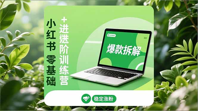 小红书SOE全阶运营：零基础到高阶，安全养号+爆款拆解+长效增长，稳扎稳打涨粉变现