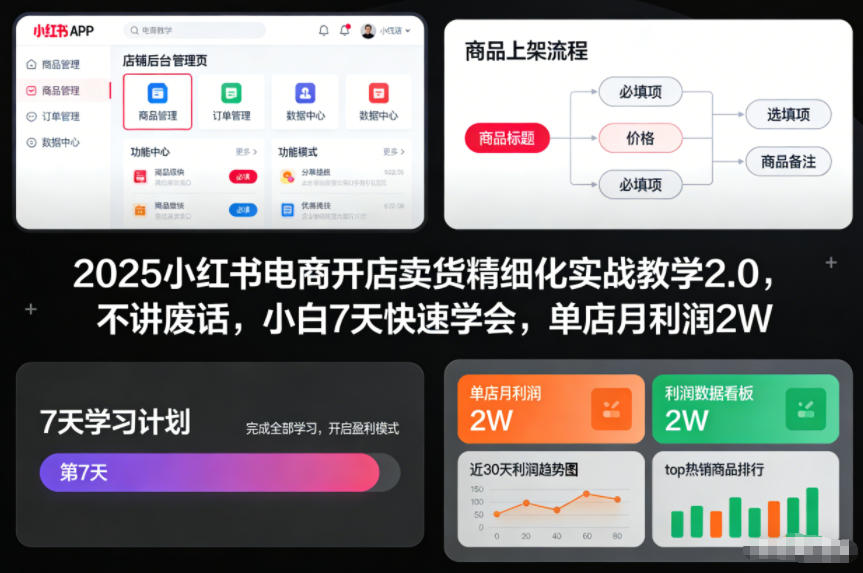 2025小红书电商开店卖货：精细化实战教学2.0，小白7天快速学会，单店月利润2W（不讲废话）