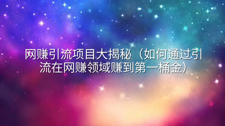 网赚引流项目大揭秘（如何通过引流在网赚领域赚到第一桶金）