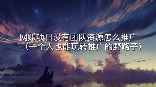 网赚项目没有团队资源怎么推广（一个人也能玩转推广的野路子）