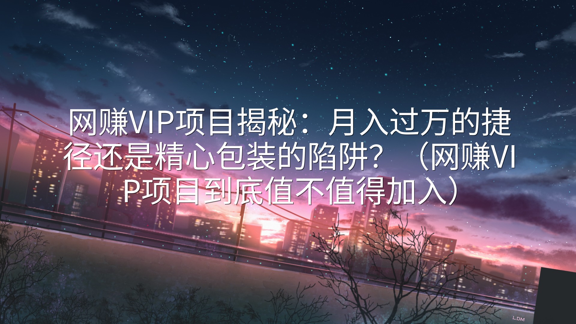 网赚VIP项目揭秘：月入过万的捷径还是精心包装的陷阱？（网赚VIP项目到底值不值得加入）
