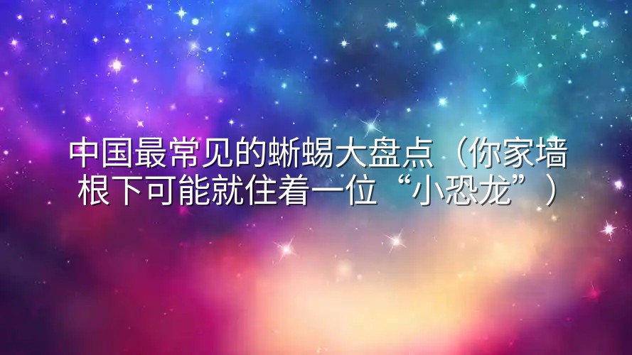 中国最常见的蜥蜴大盘点（你家墙根下可能就住着一位“小恐龙”）