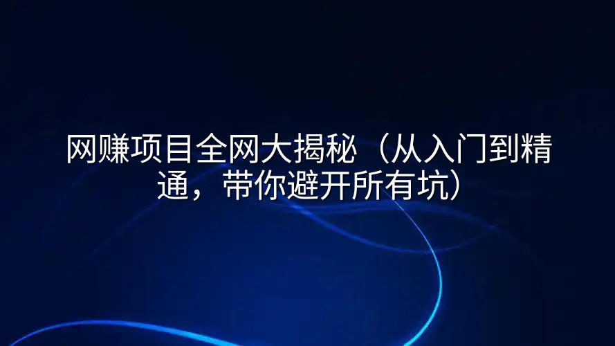 网赚项目全网大揭秘（从入门到精通，带你避开所有坑）