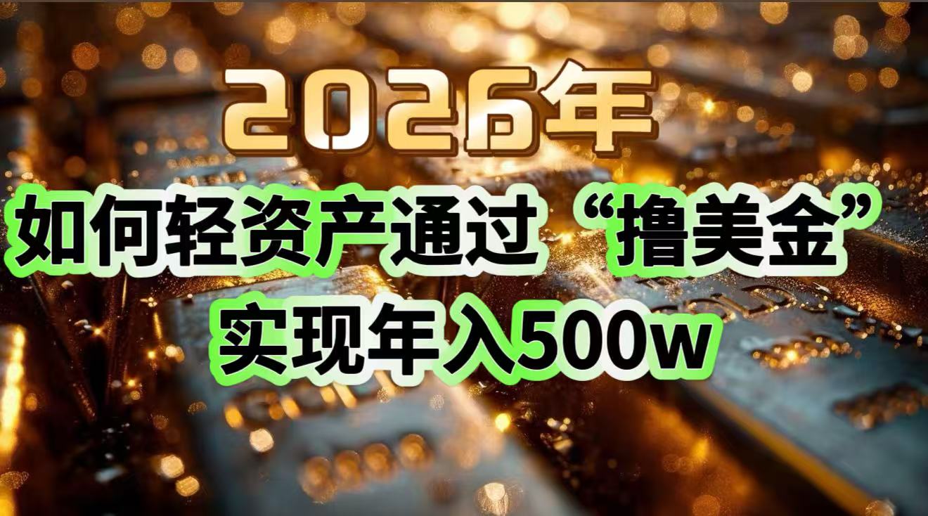 2026年轻资产撸美金攻略：年入500w的3个实操方法（新手必看）