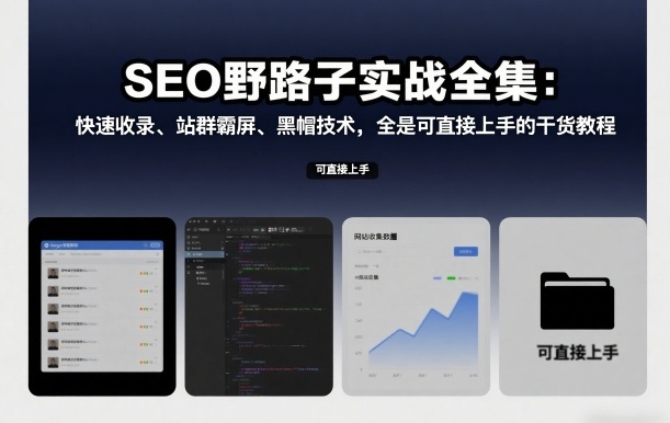 SEO野路子实战全攻略：快速收录+站群霸屏+黑帽技术，全是可直接上手的干货
