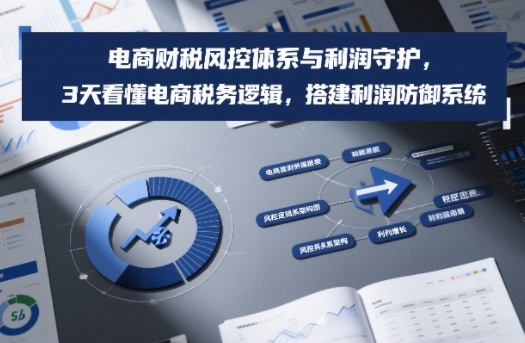 3天看懂电商税务逻辑：从财税风控到利润防御系统，守护电商利润必备指南