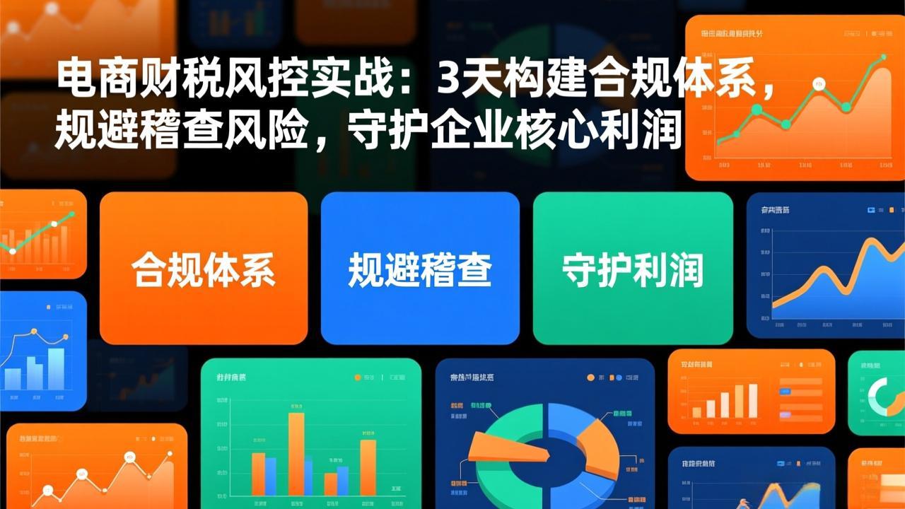 电商财税风控实战：3天快速构建合规体系，规避稽查风险，守护企业核心利润